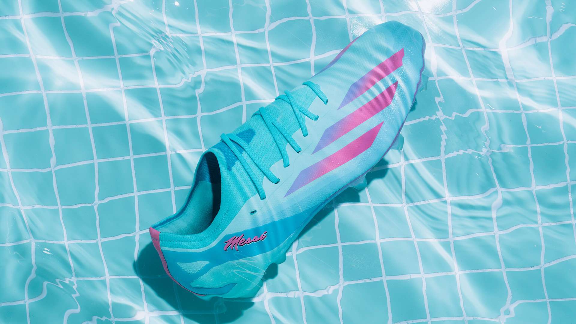 们能否获得 们能否获得