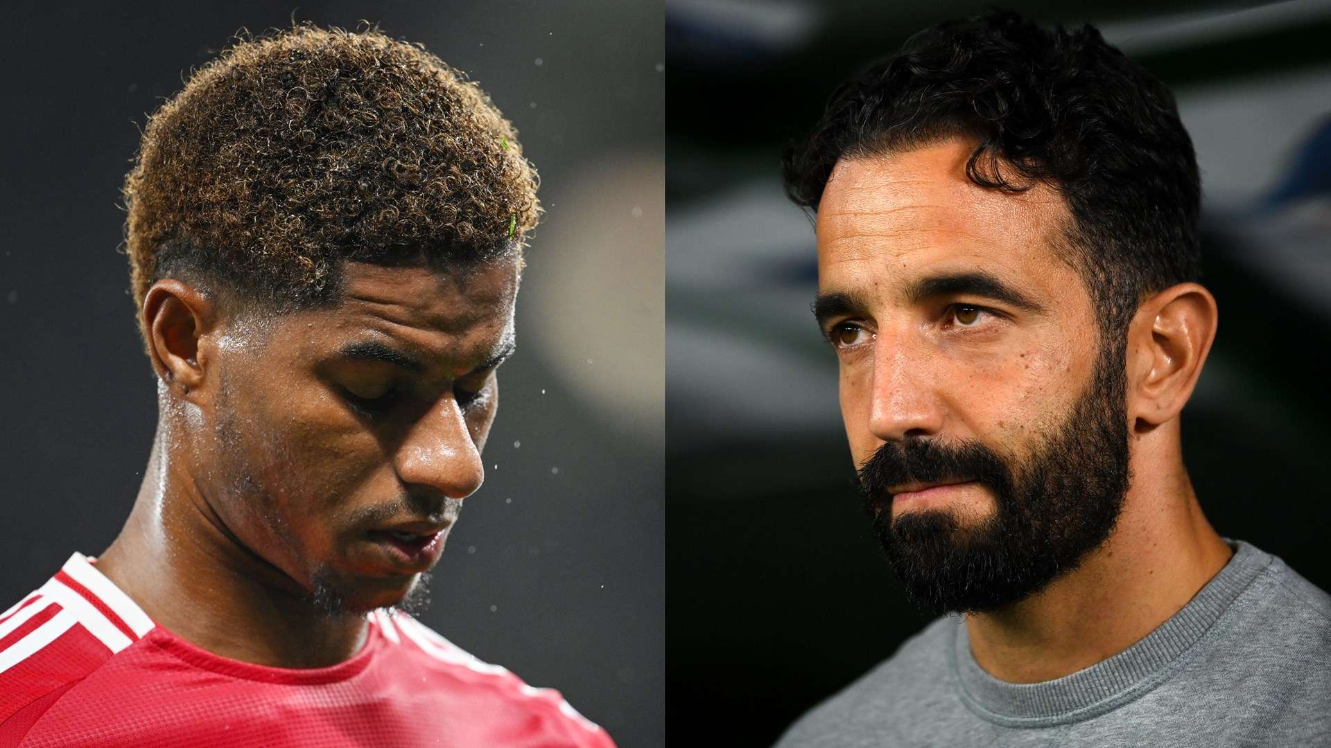 环境优美 环境优美